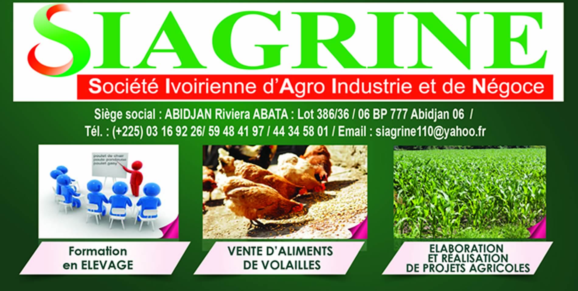 27/11/16 Burkina Faso : Rentabilit de llevage de volaille, SIAGRINE donne les enjeux avec laliment bio